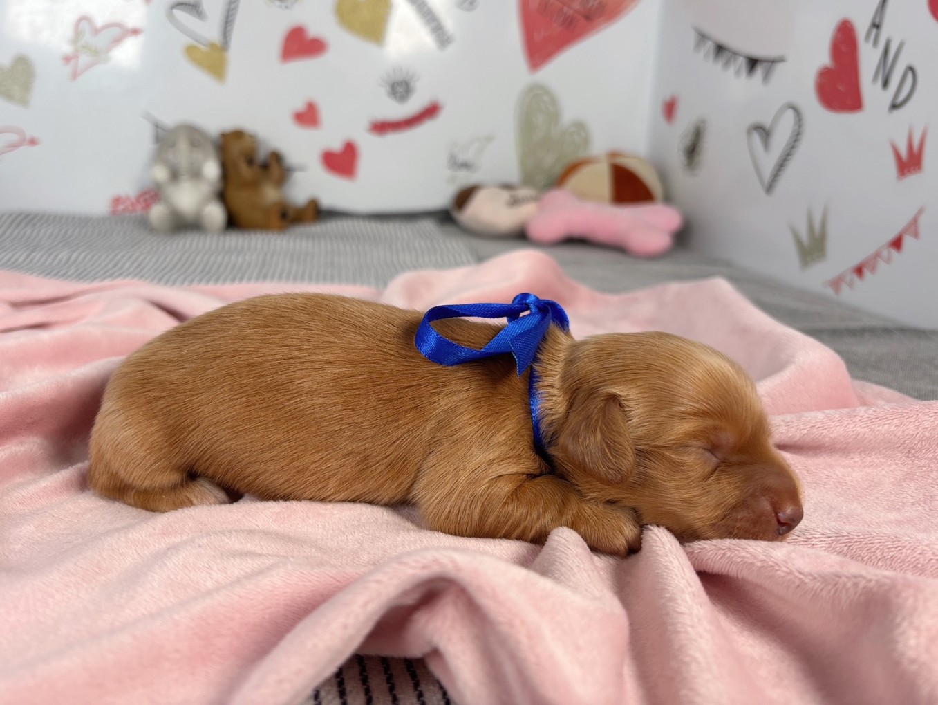 赤ちゃん写真1-2