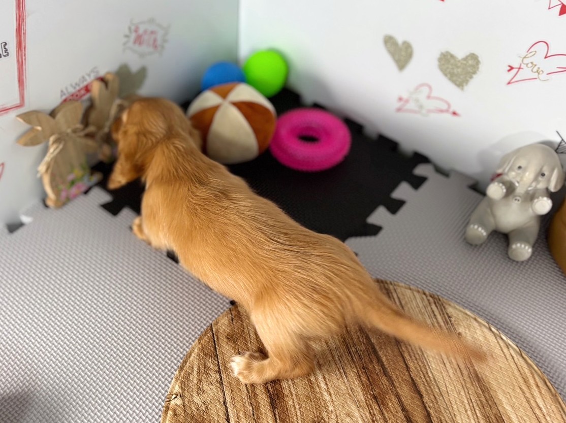 赤ちゃん写真3-3