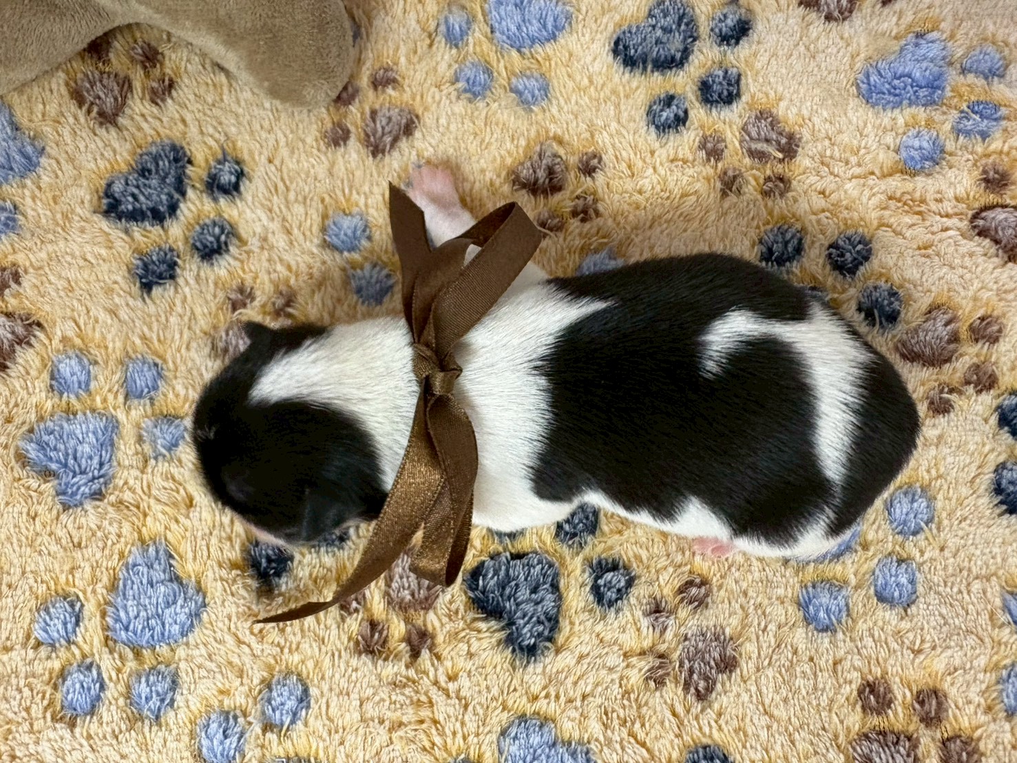 赤ちゃん写真1-3