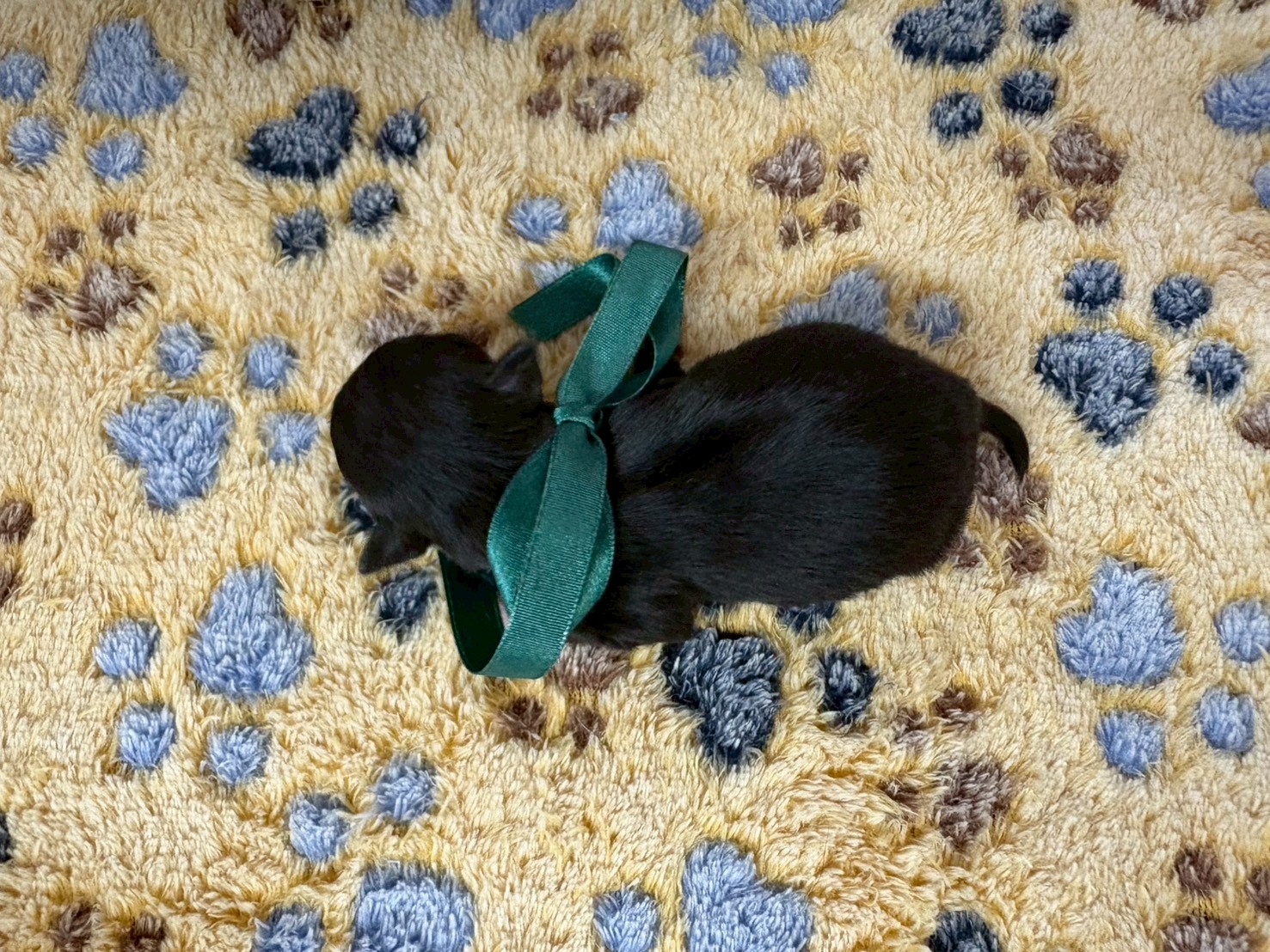 赤ちゃん写真1-3