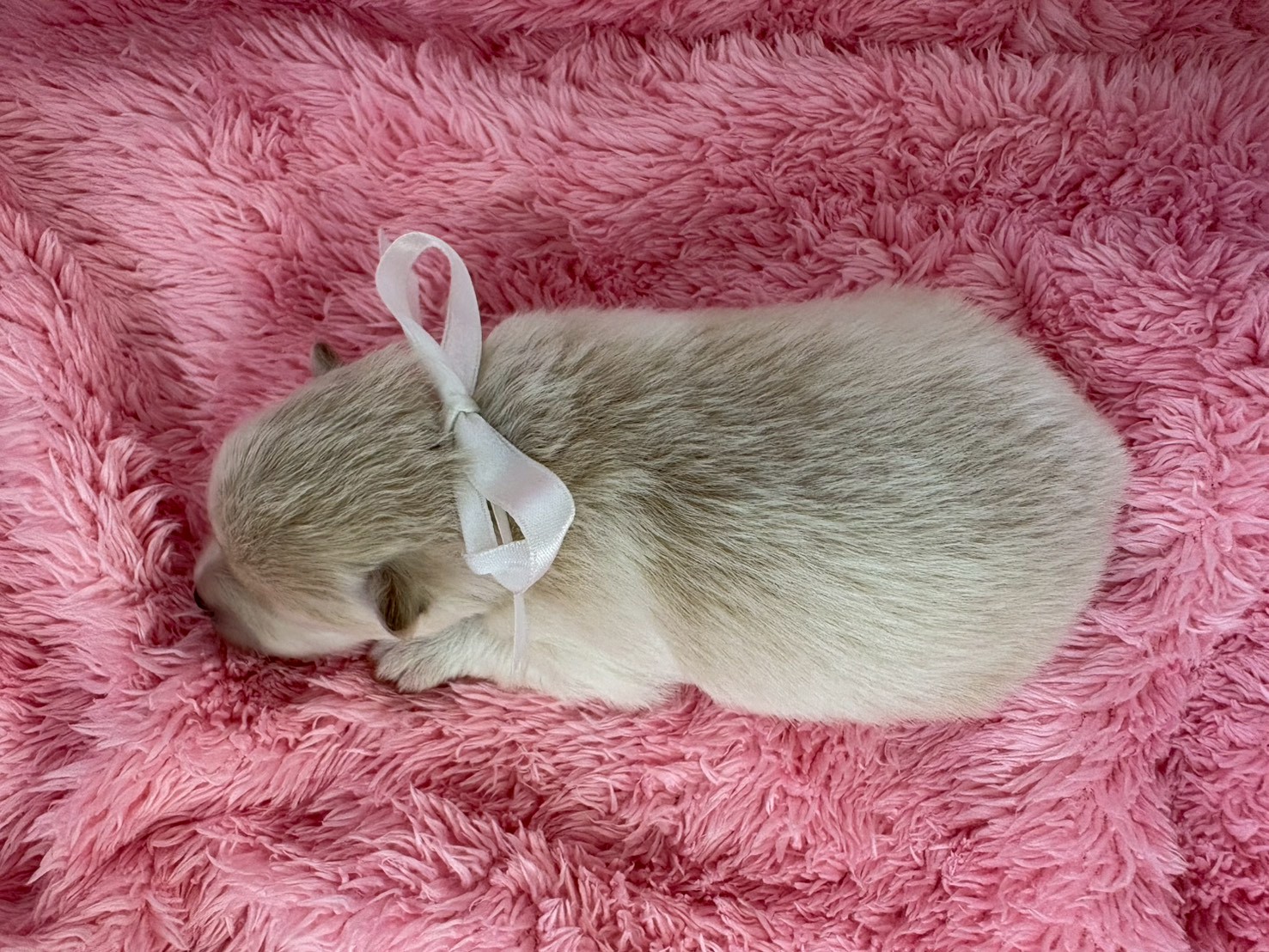 赤ちゃん写真1-3