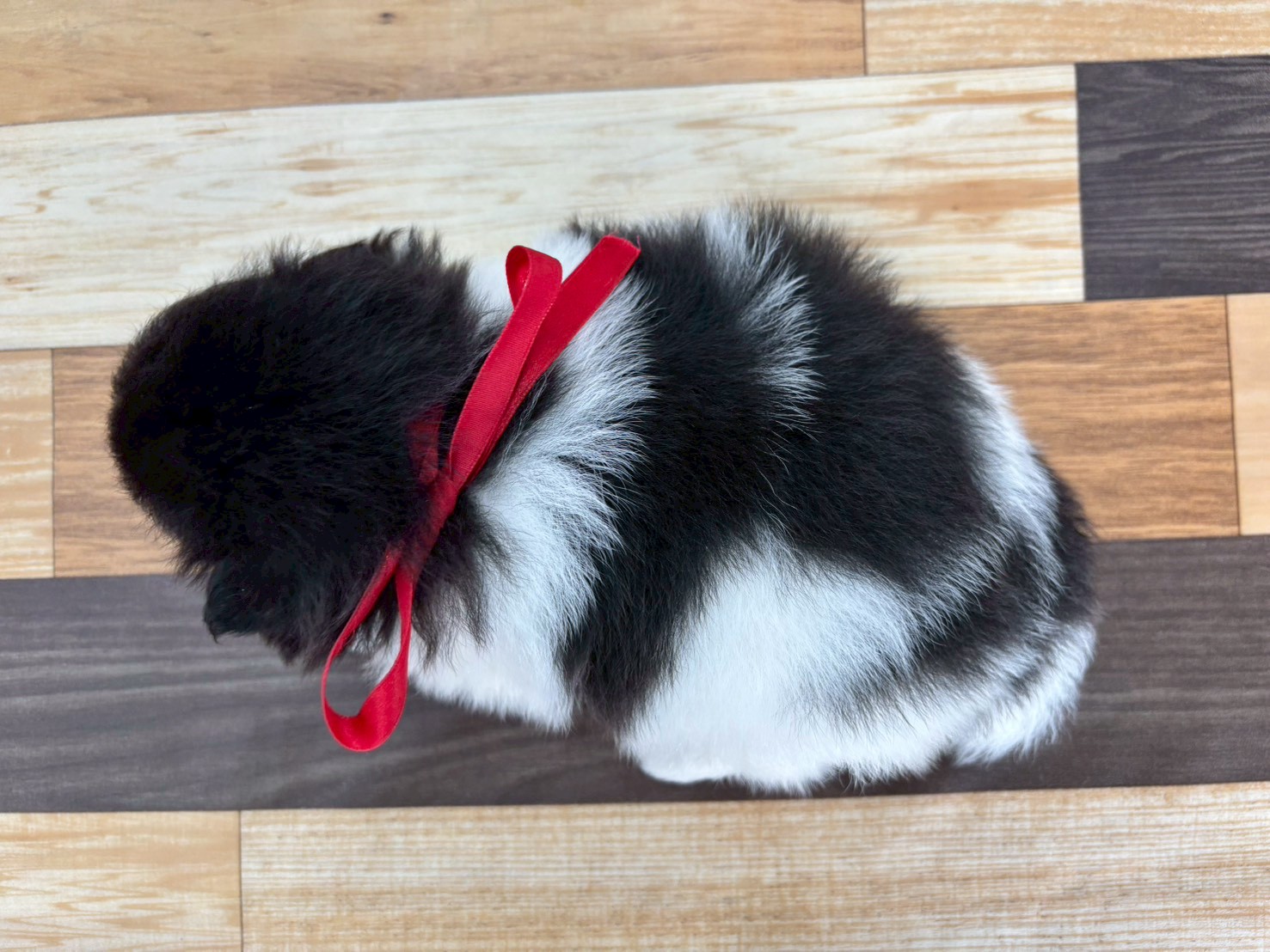 赤ちゃん写真2-3