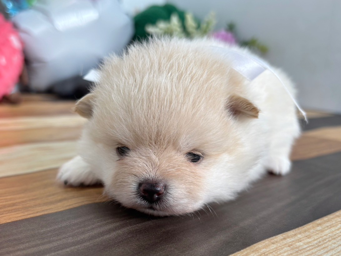 赤ちゃん写真2-1