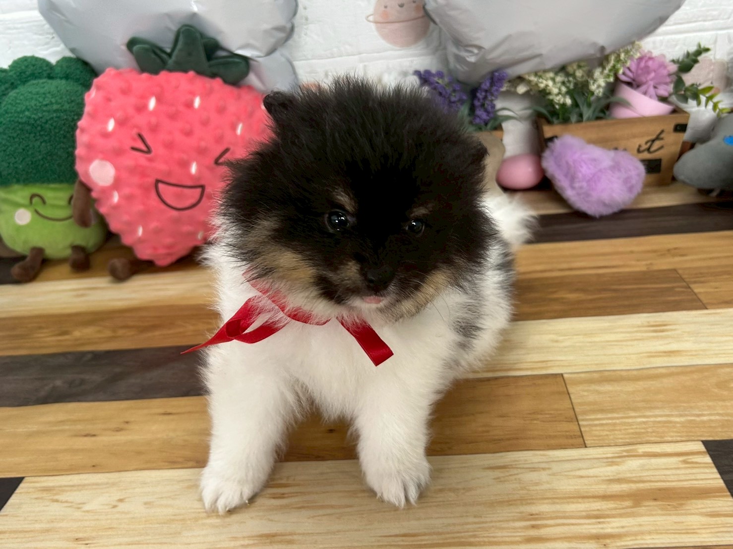 赤ちゃん写真3-1