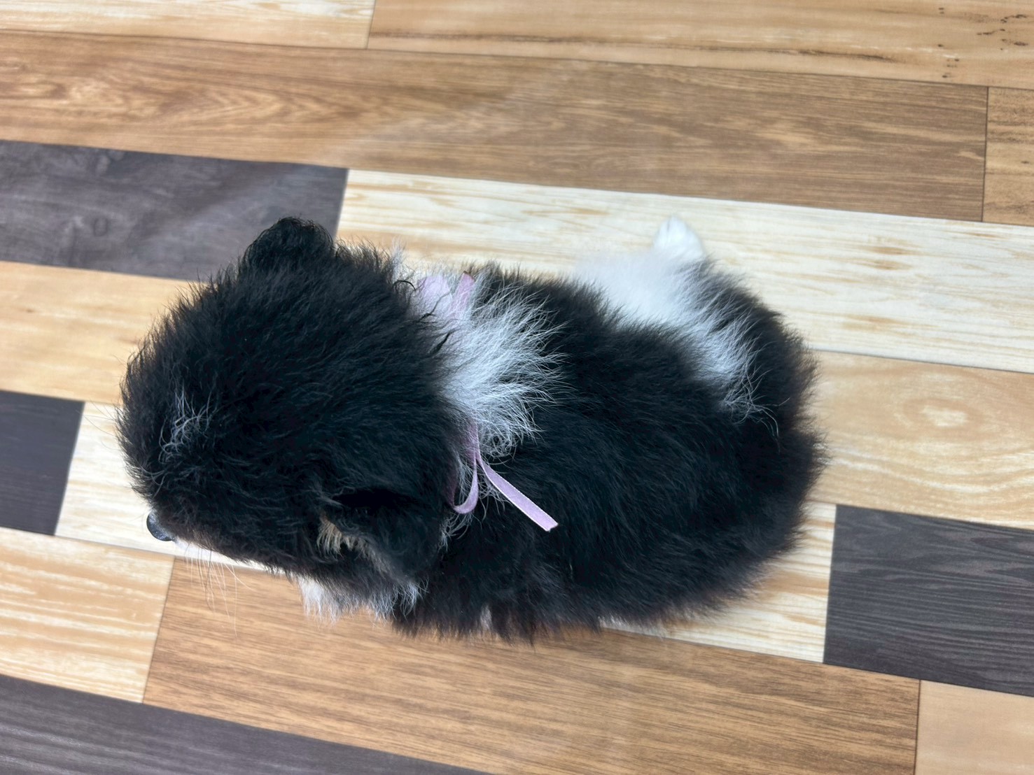 赤ちゃん写真3-3