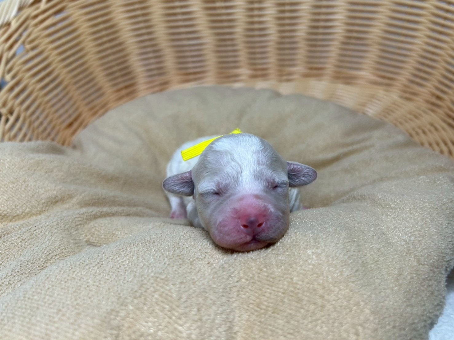 赤ちゃん写真1-1