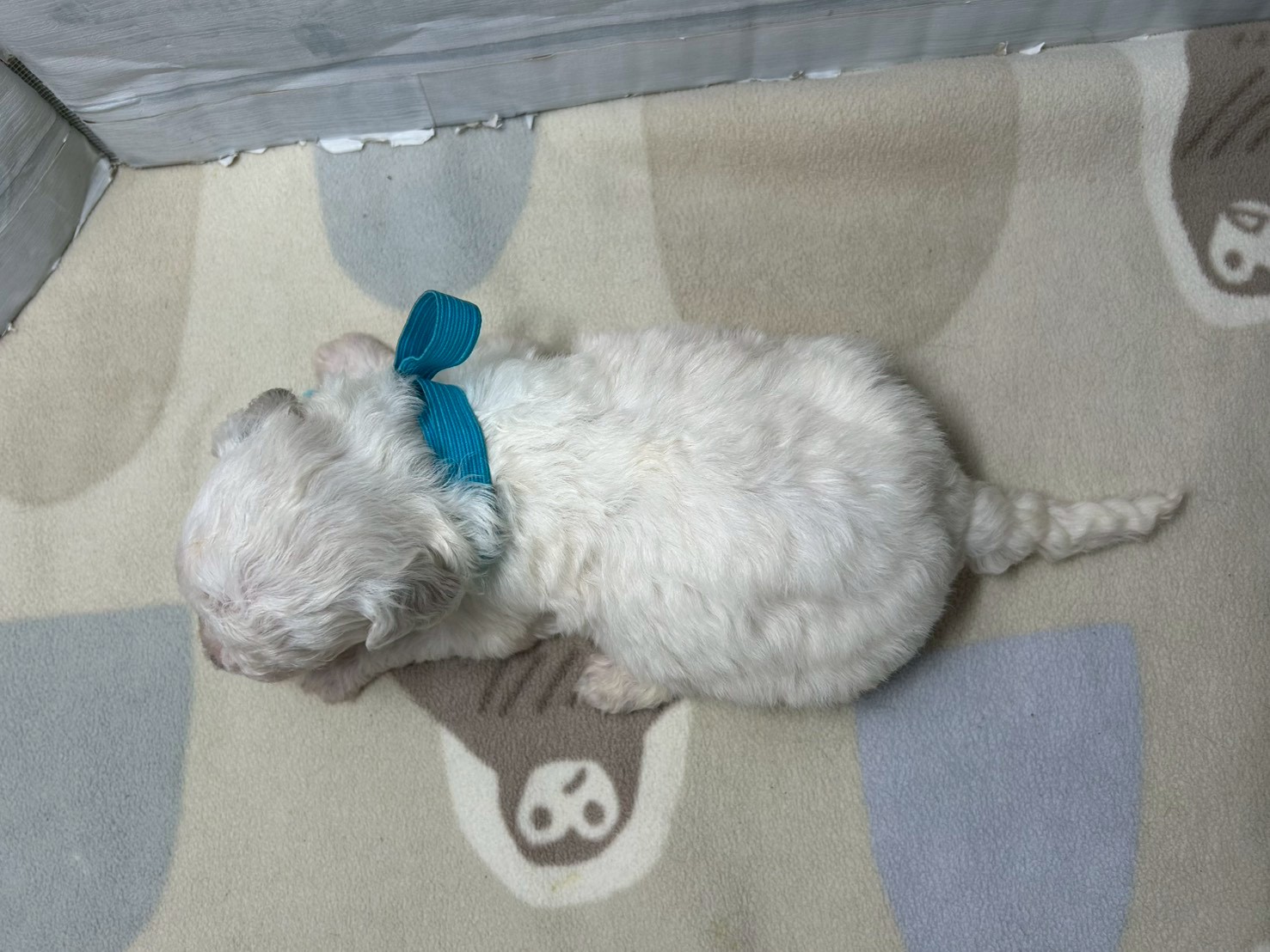 赤ちゃん写真2-3