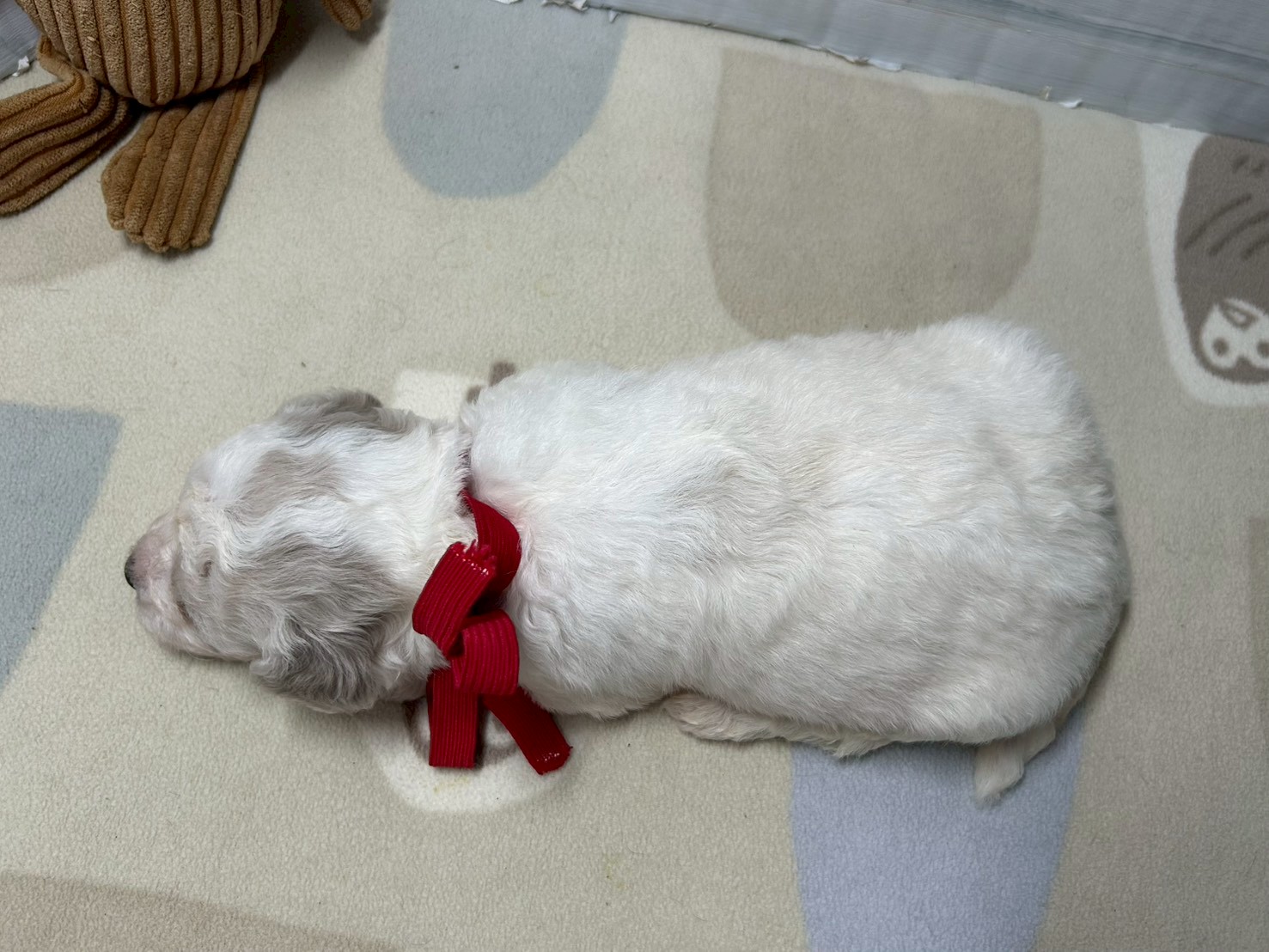 赤ちゃん写真2-3
