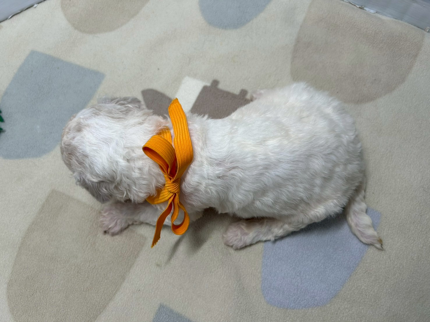 赤ちゃん写真2-3