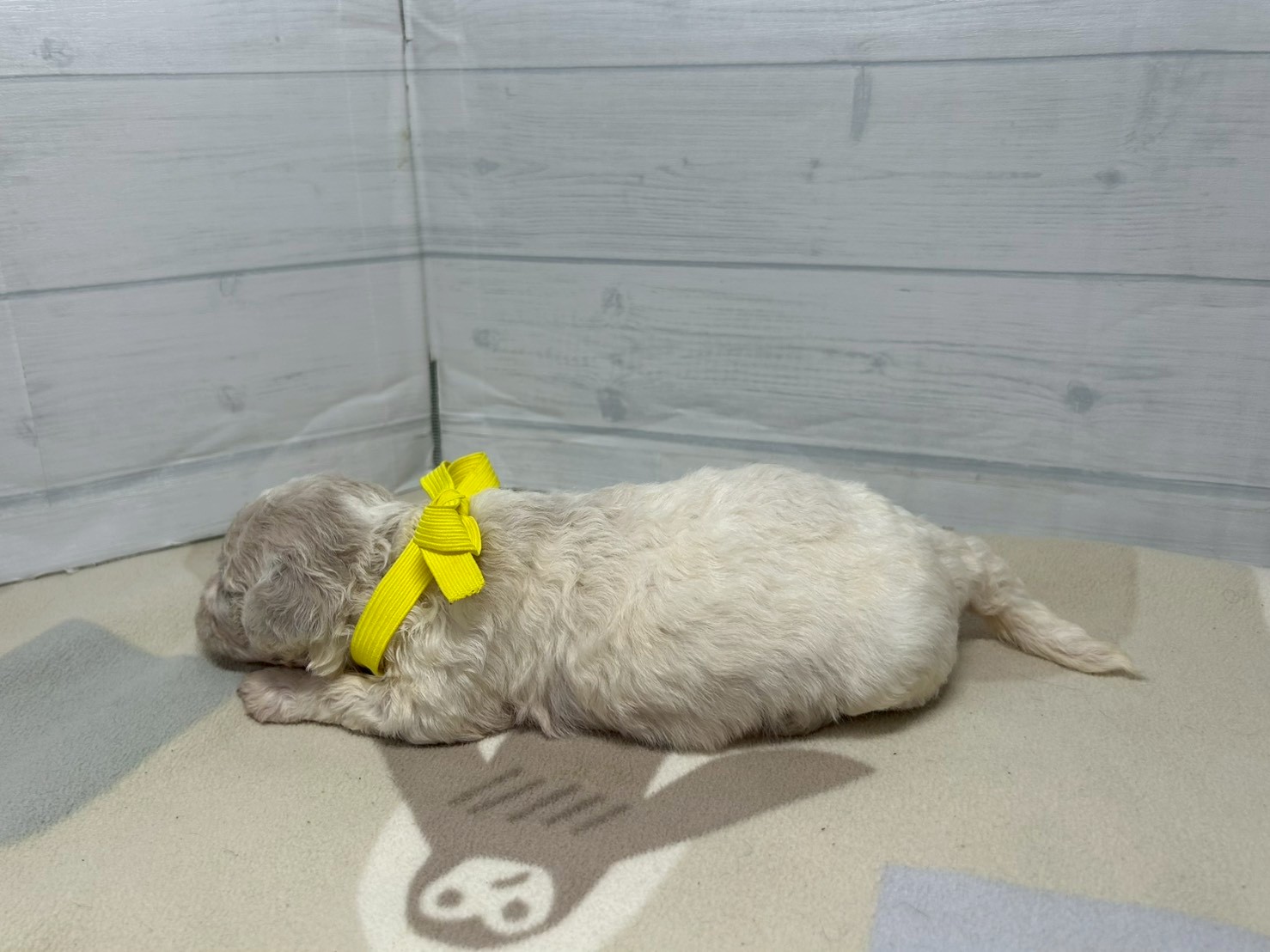 赤ちゃん写真2-2
