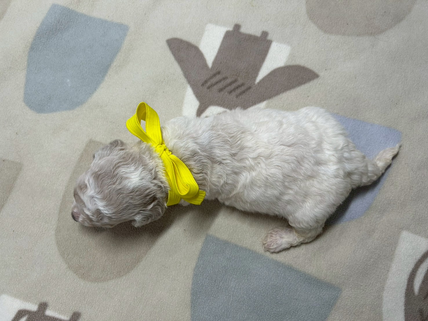 赤ちゃん写真2-3