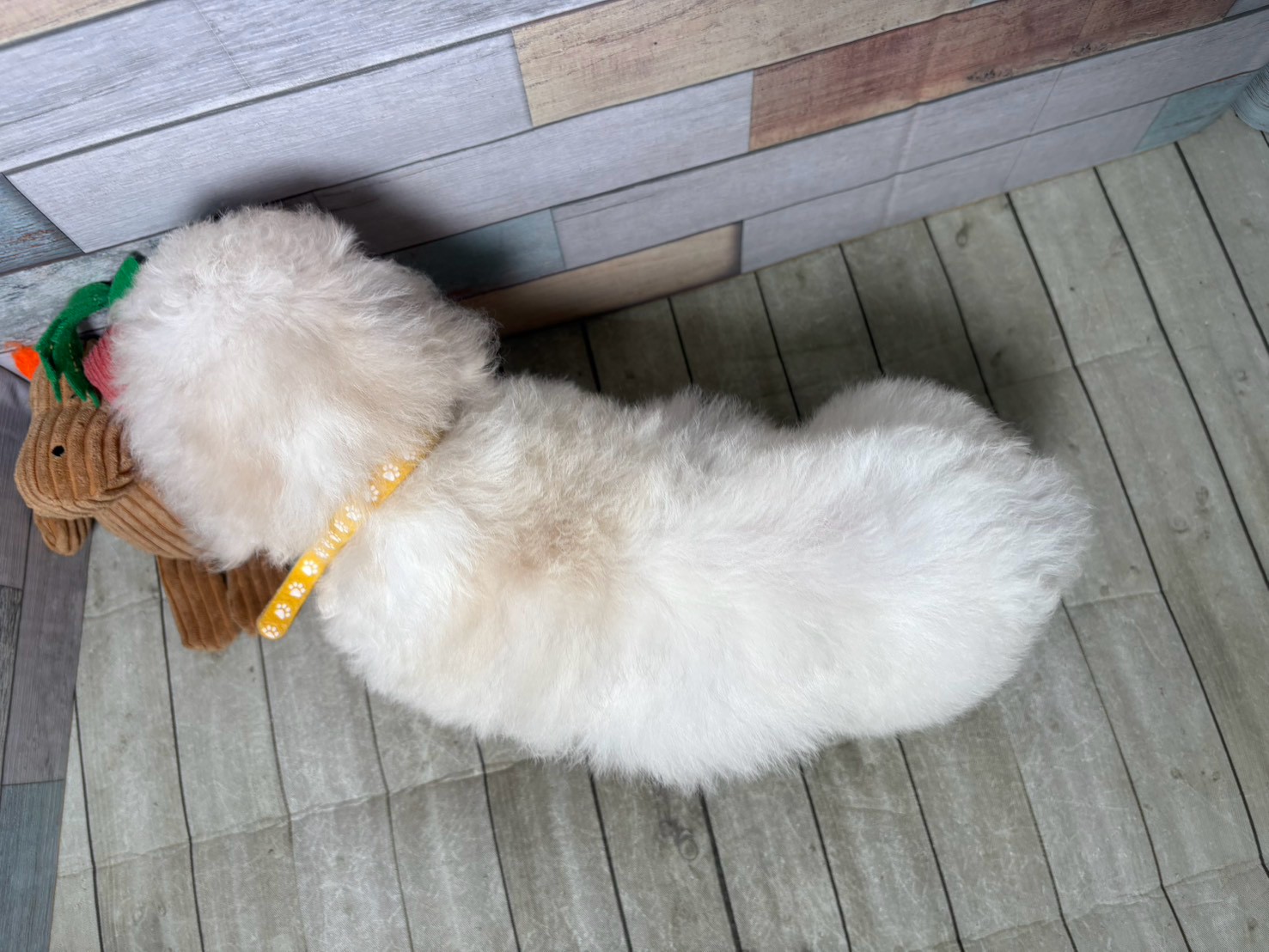 赤ちゃん写真3-3