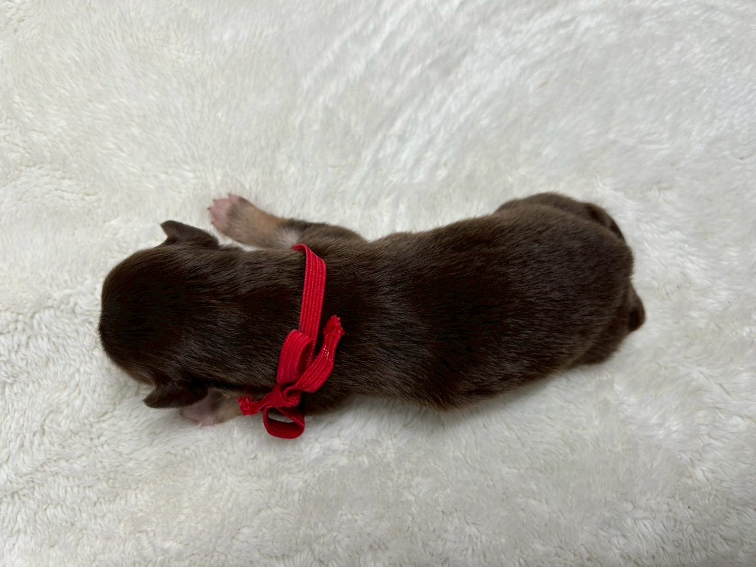 赤ちゃん写真1-3