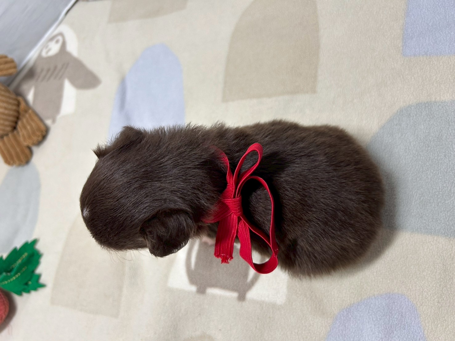 赤ちゃん写真2-3