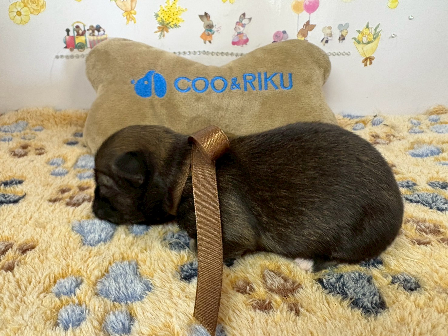 赤ちゃん写真1-2