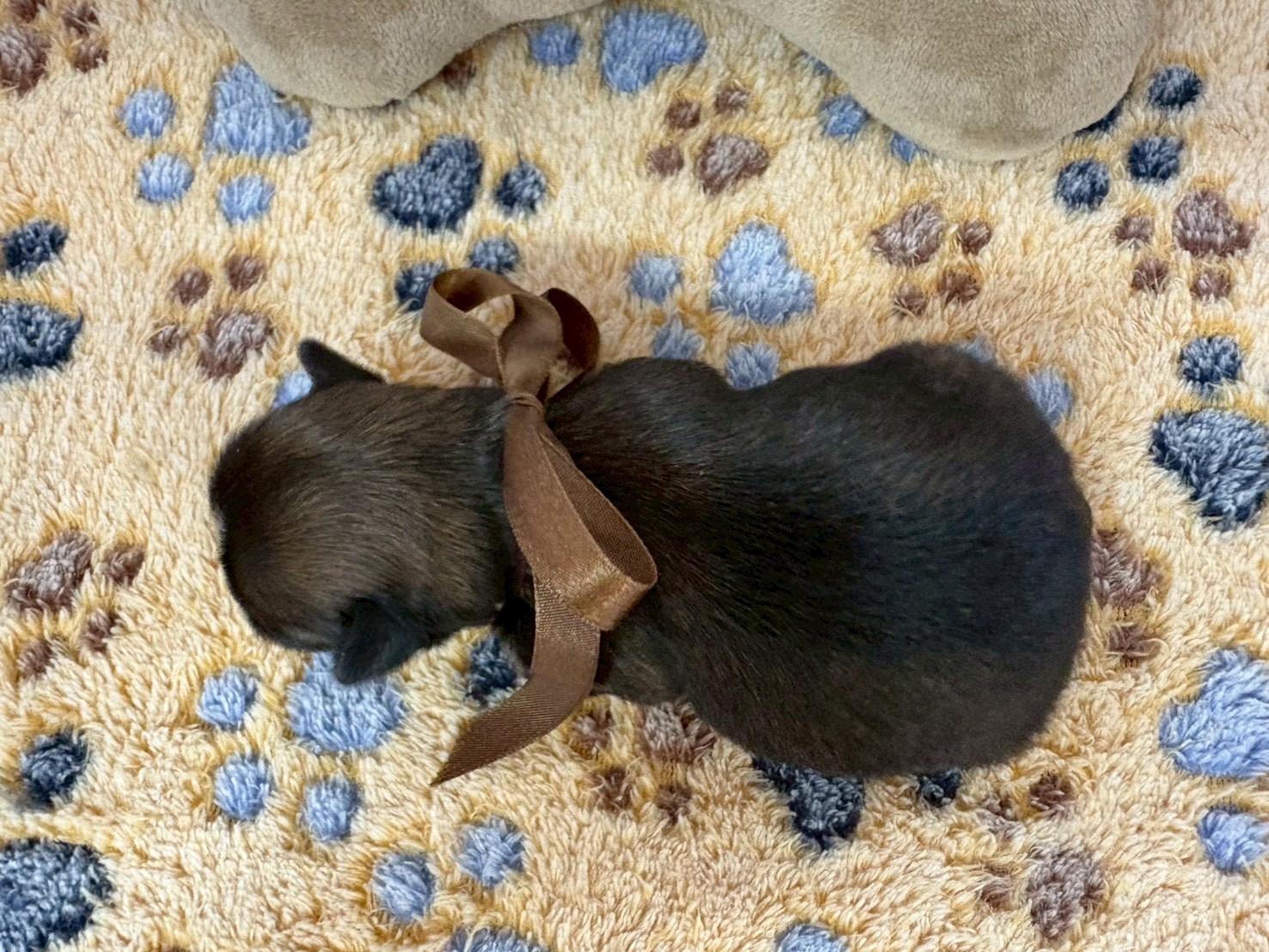 赤ちゃん写真1-3