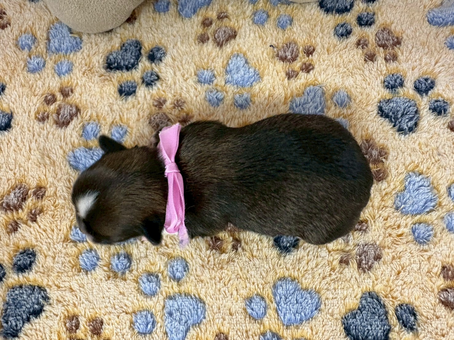 赤ちゃん写真1-3