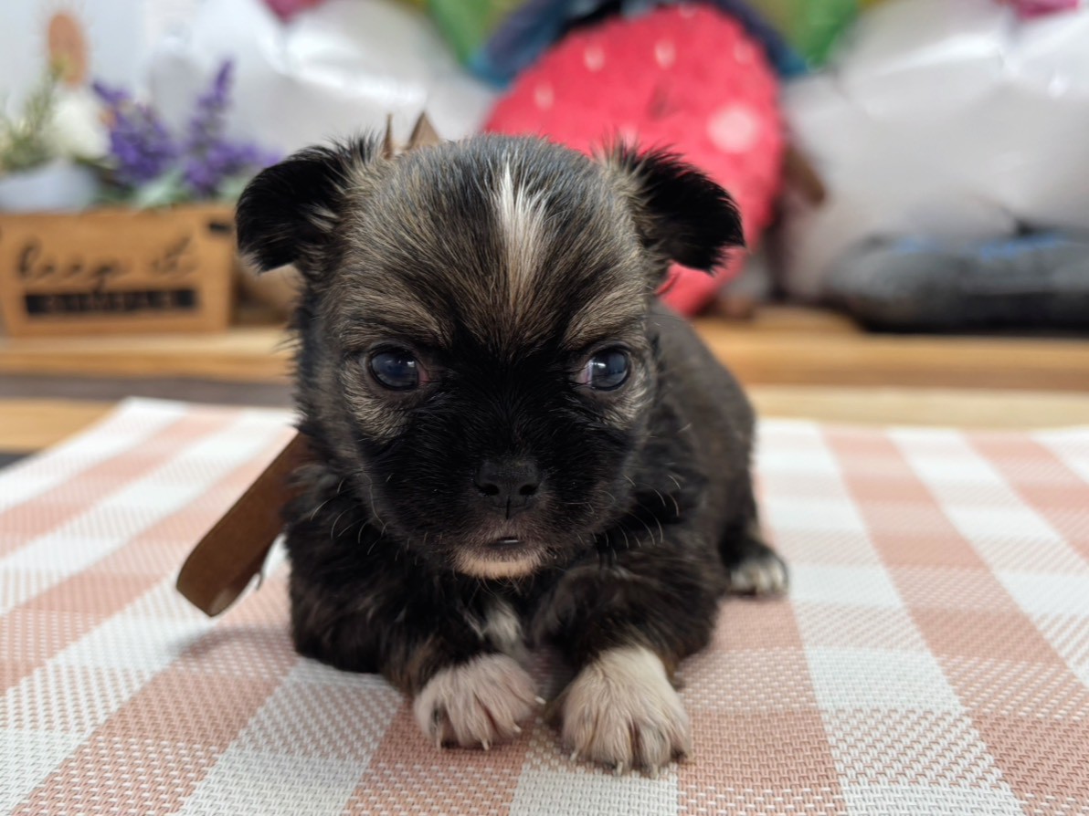 赤ちゃん写真2-1