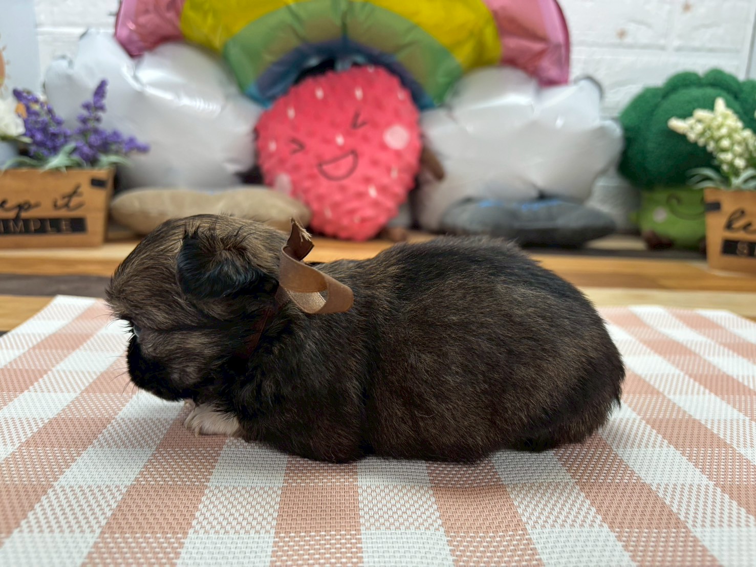 赤ちゃん写真2-2