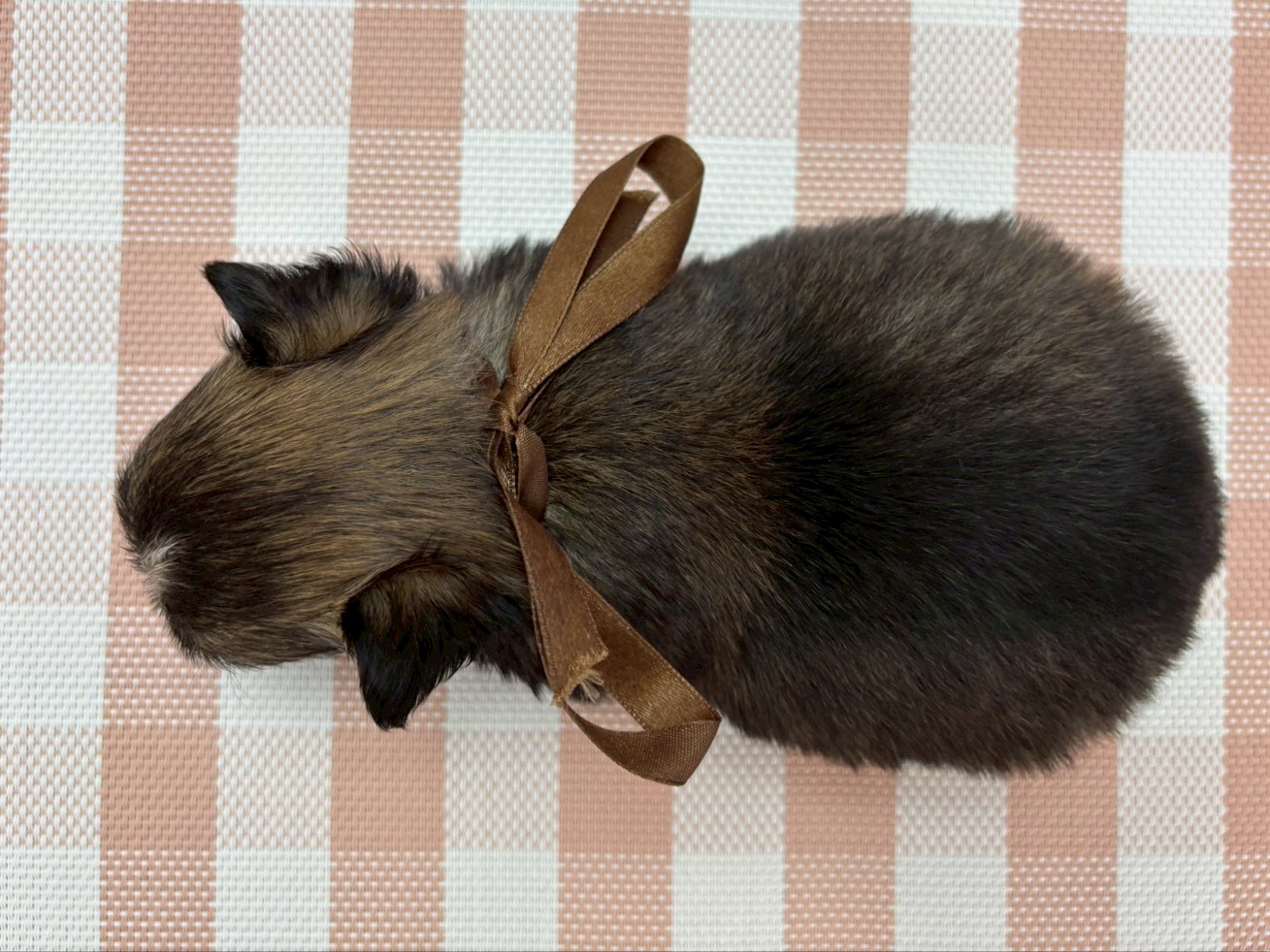 赤ちゃん写真2-3