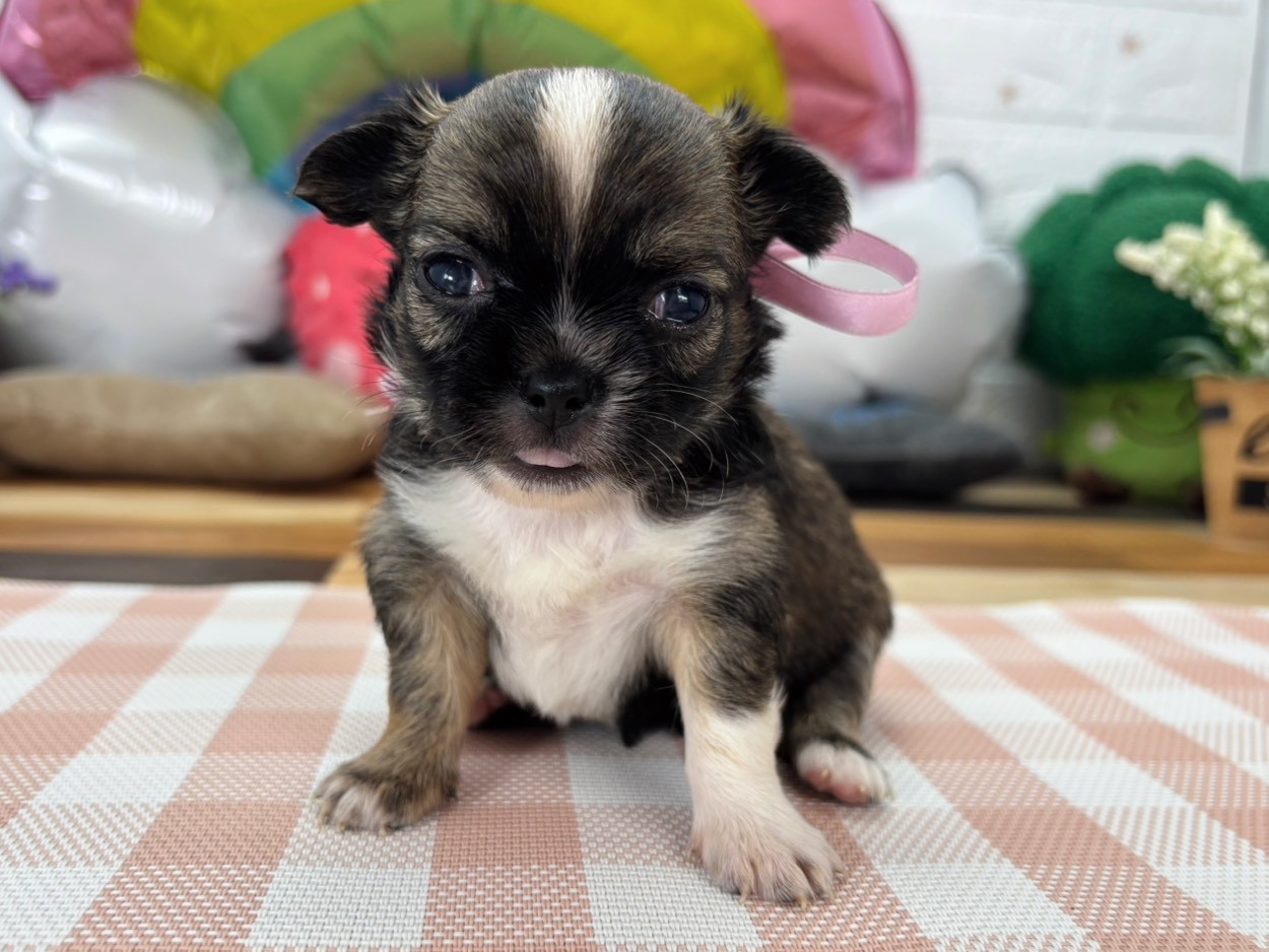 赤ちゃん写真2-1