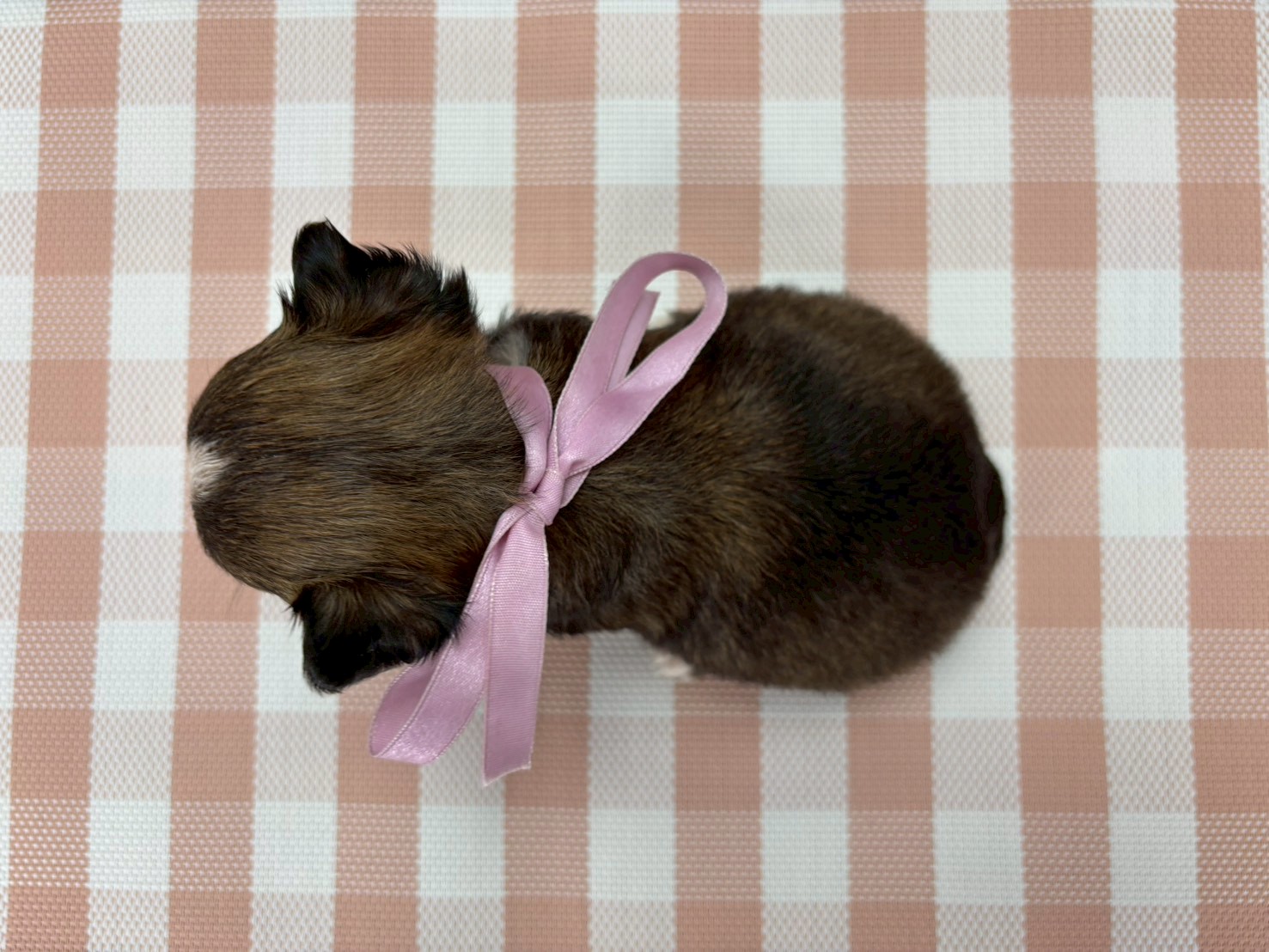 赤ちゃん写真2-3