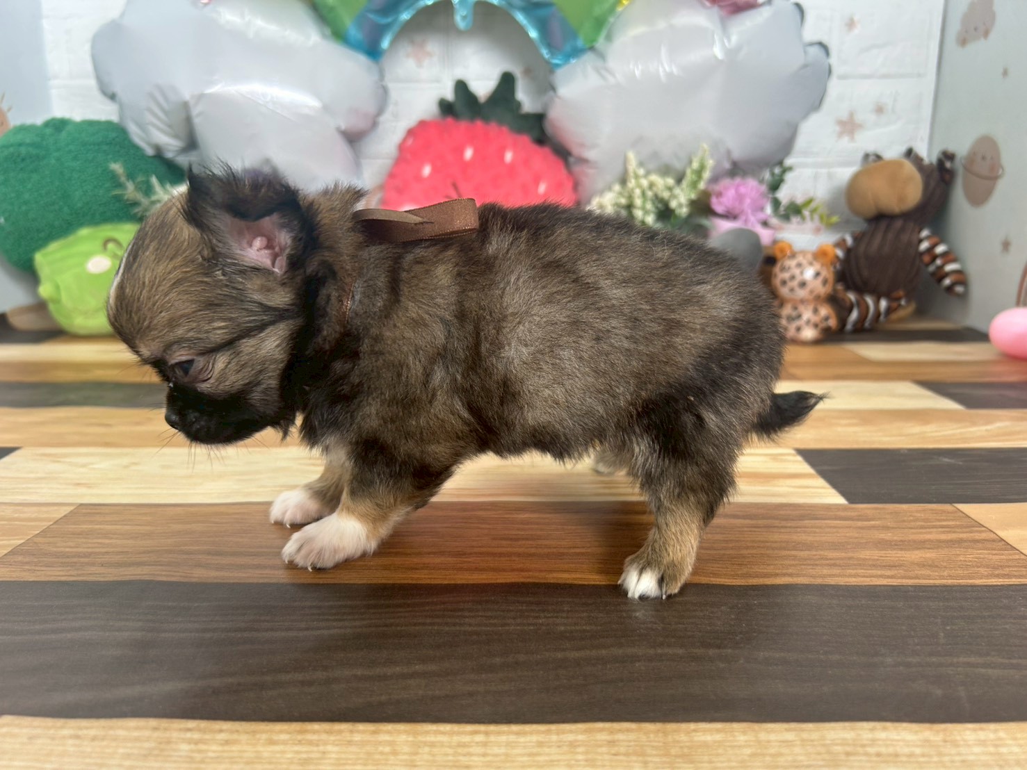 赤ちゃん写真3-2