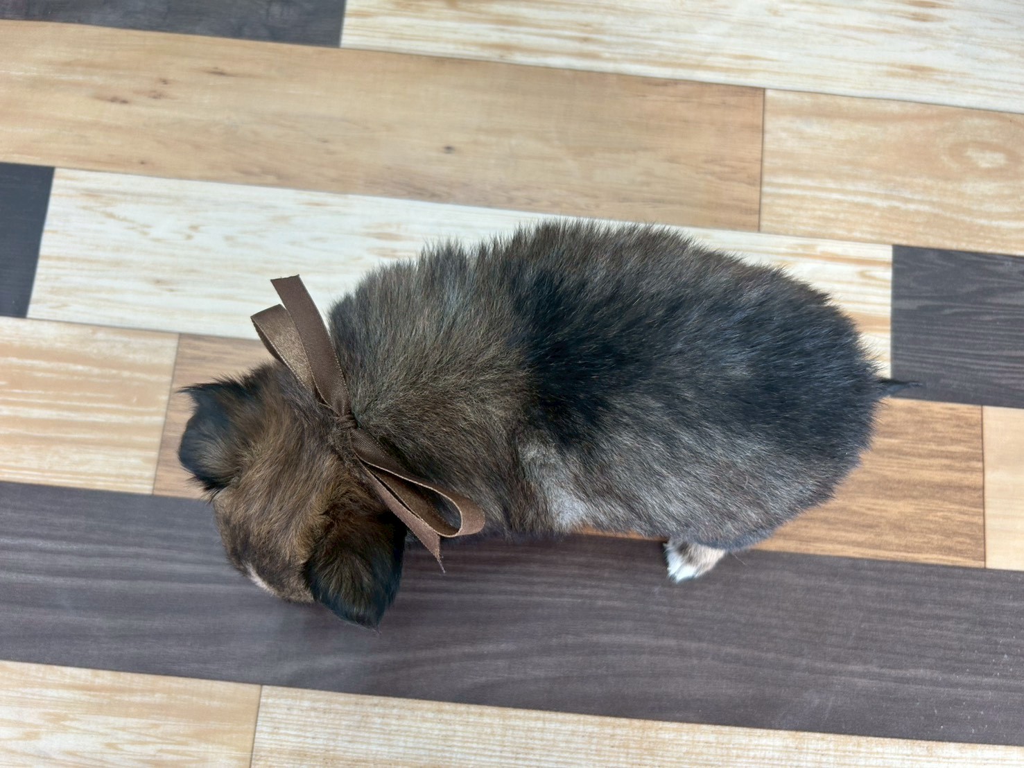 赤ちゃん写真3-3