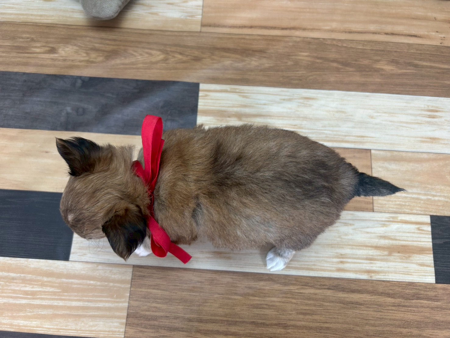 赤ちゃん写真3-3