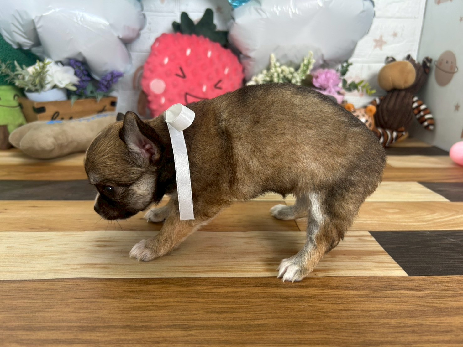 赤ちゃん写真3-2