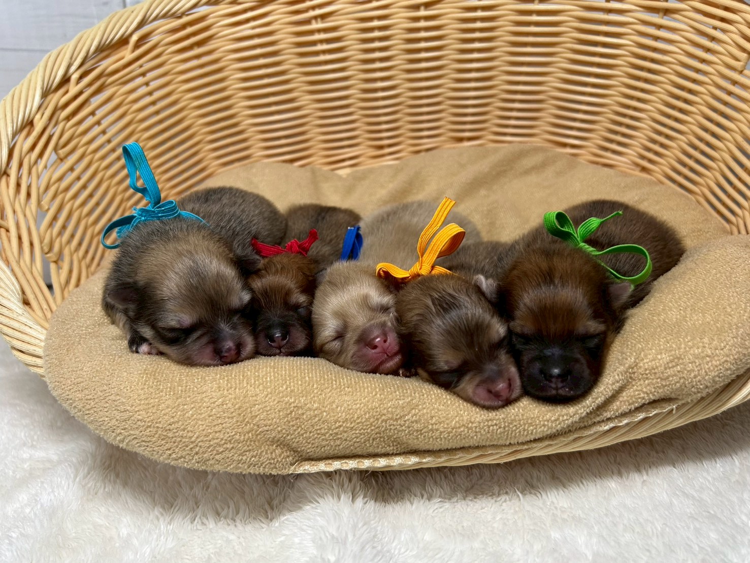 赤ちゃん写真1-3