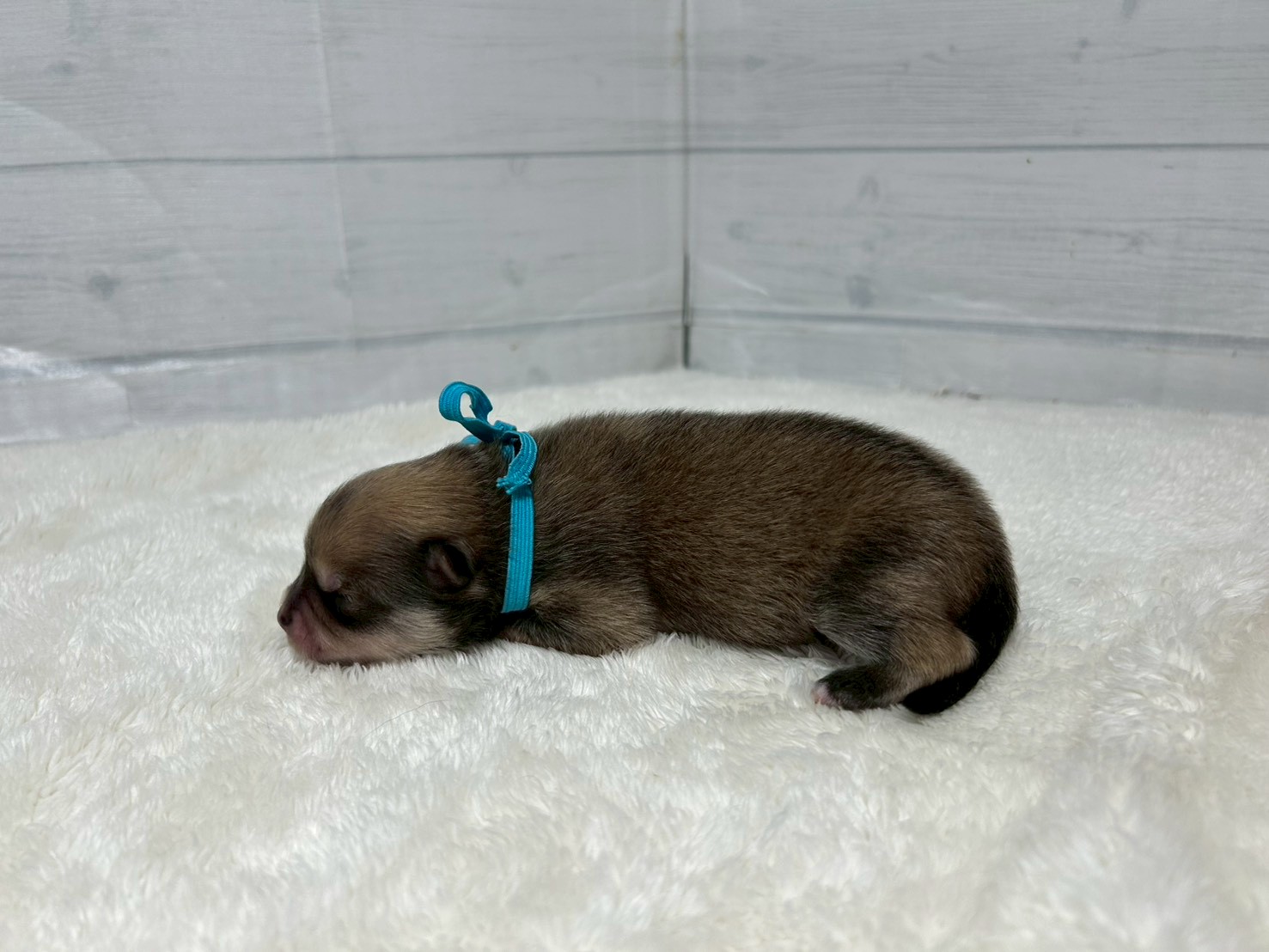 赤ちゃん写真1-2