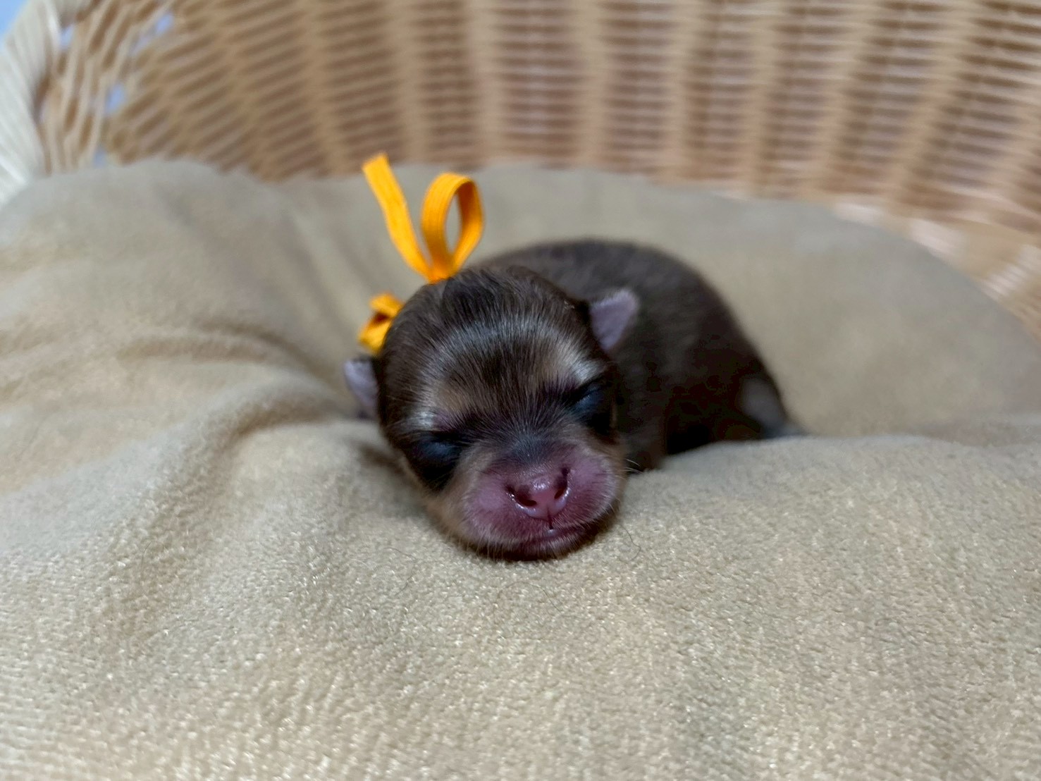 赤ちゃん写真1-1