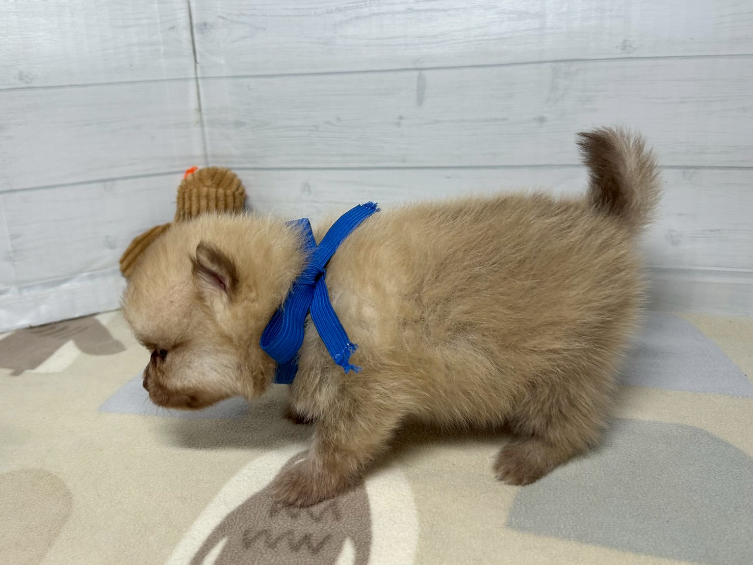 赤ちゃん写真2-2