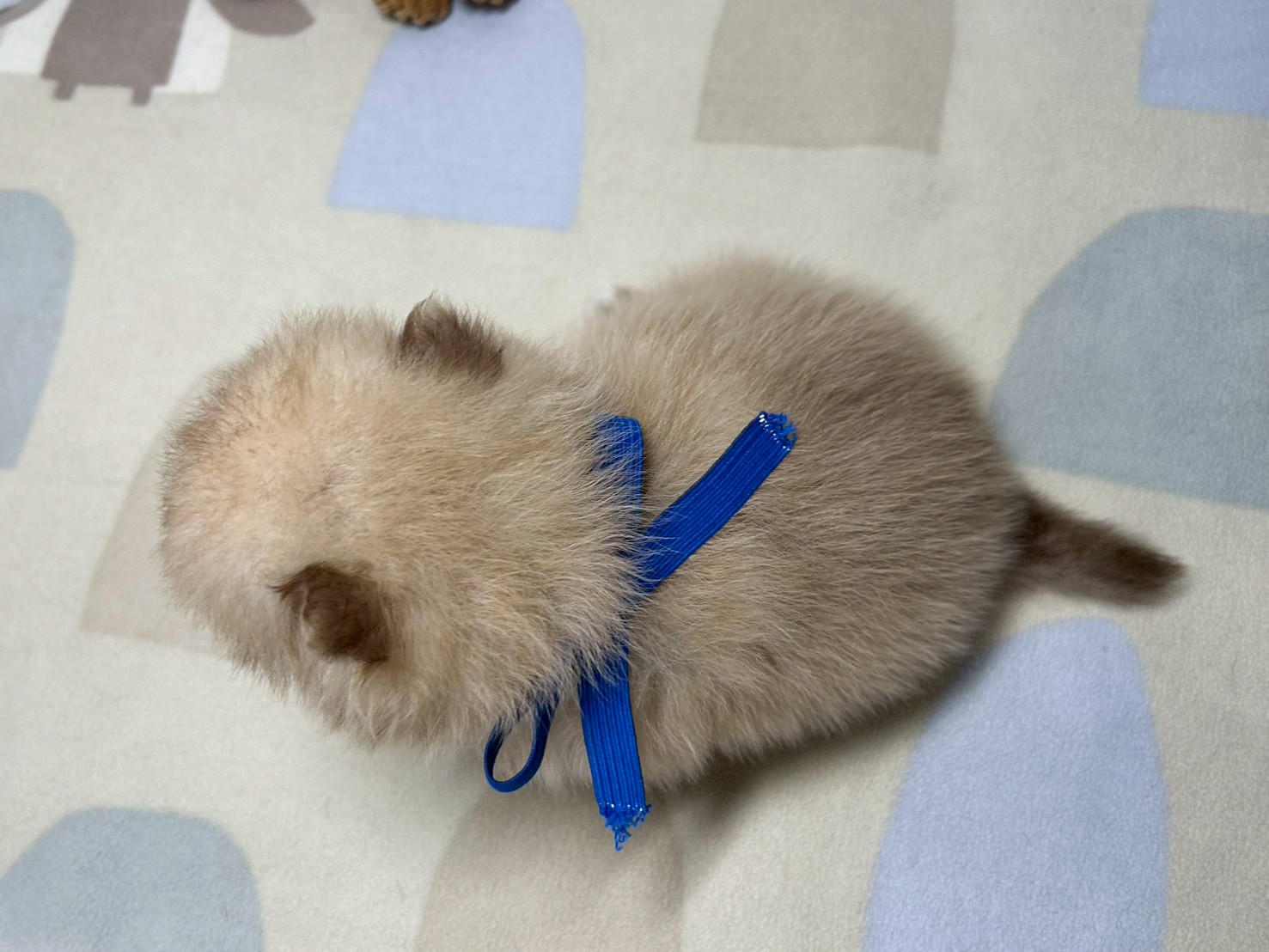 赤ちゃん写真2-3