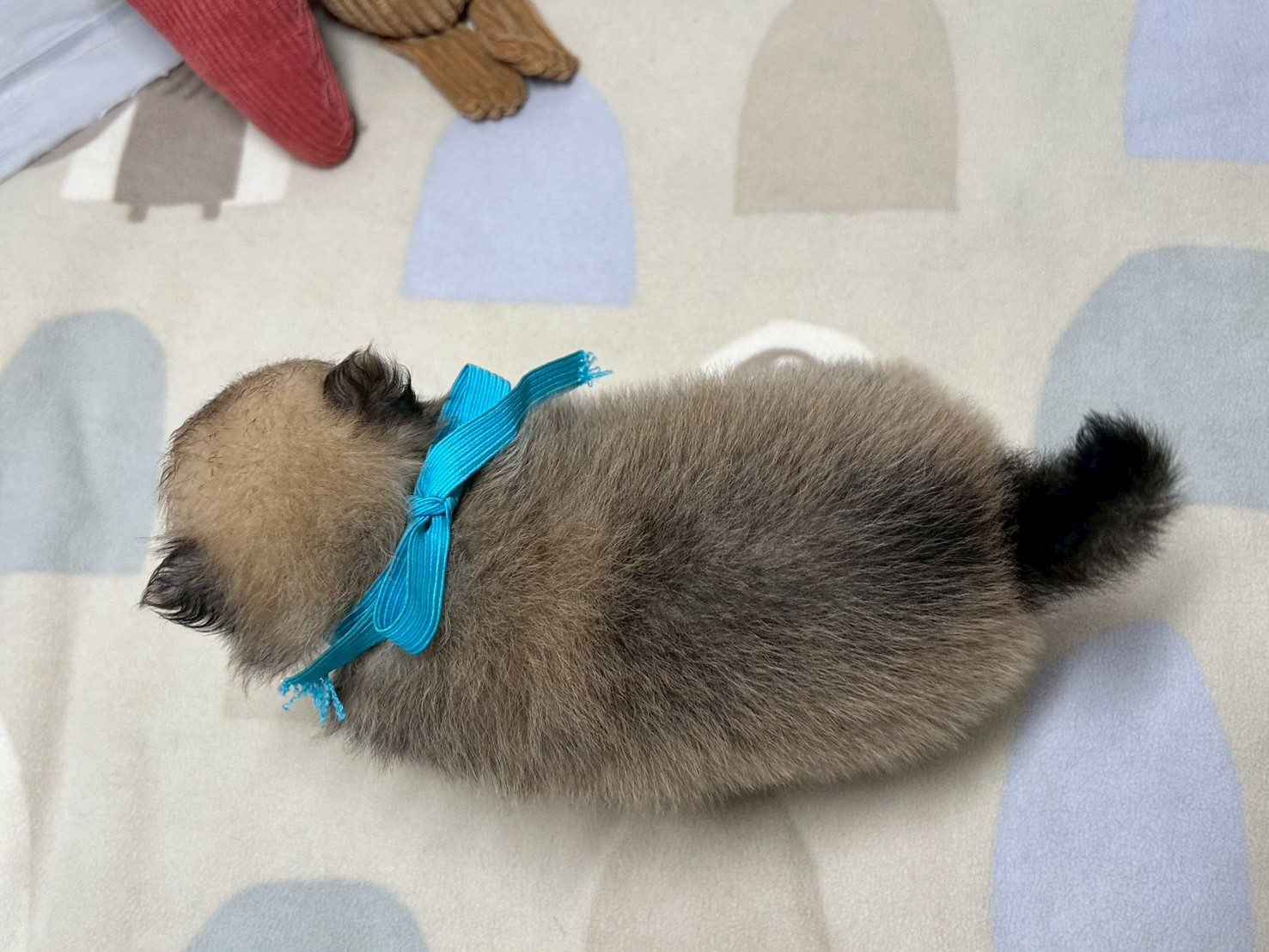 赤ちゃん写真2-3