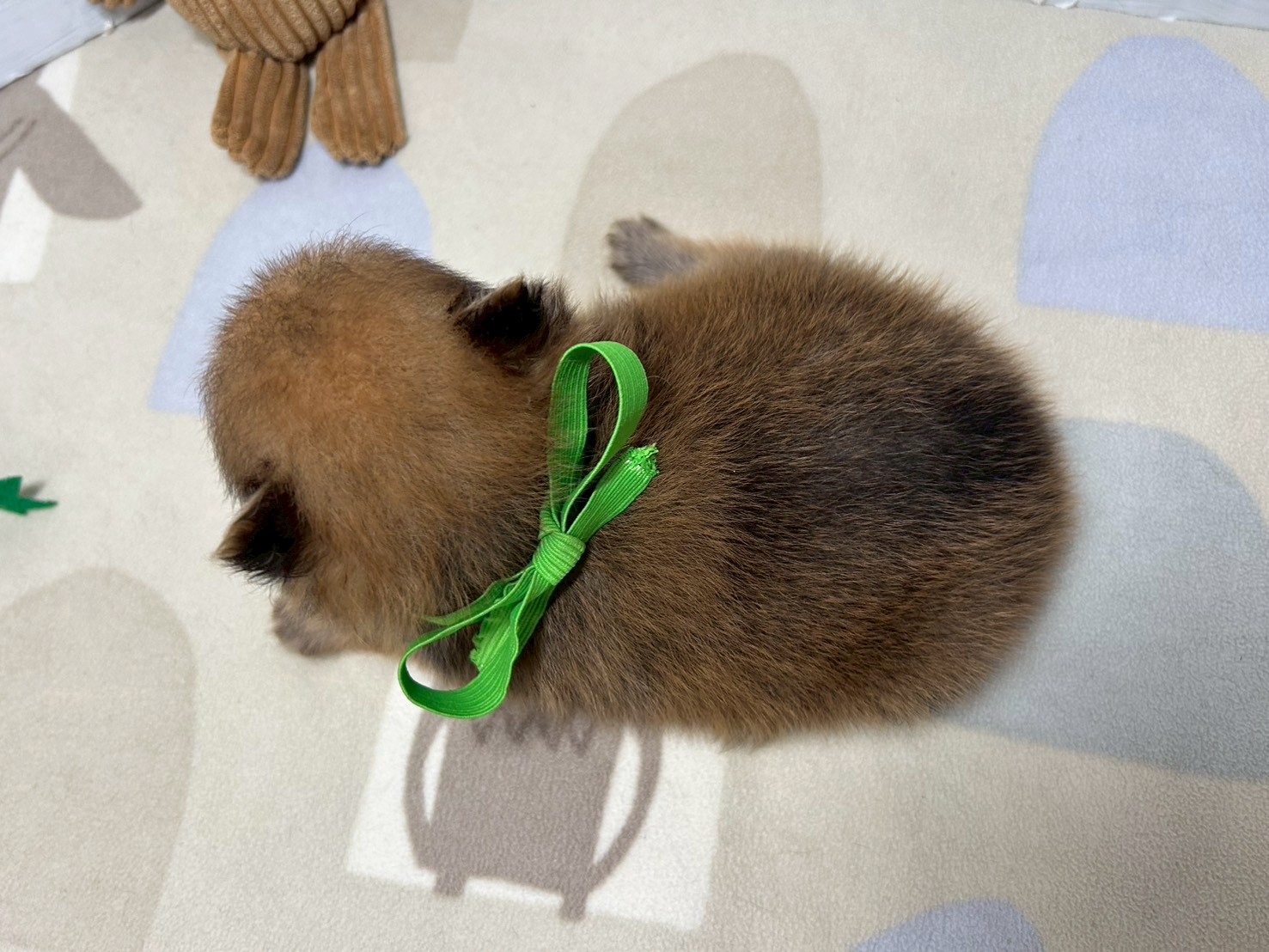 赤ちゃん写真2-3
