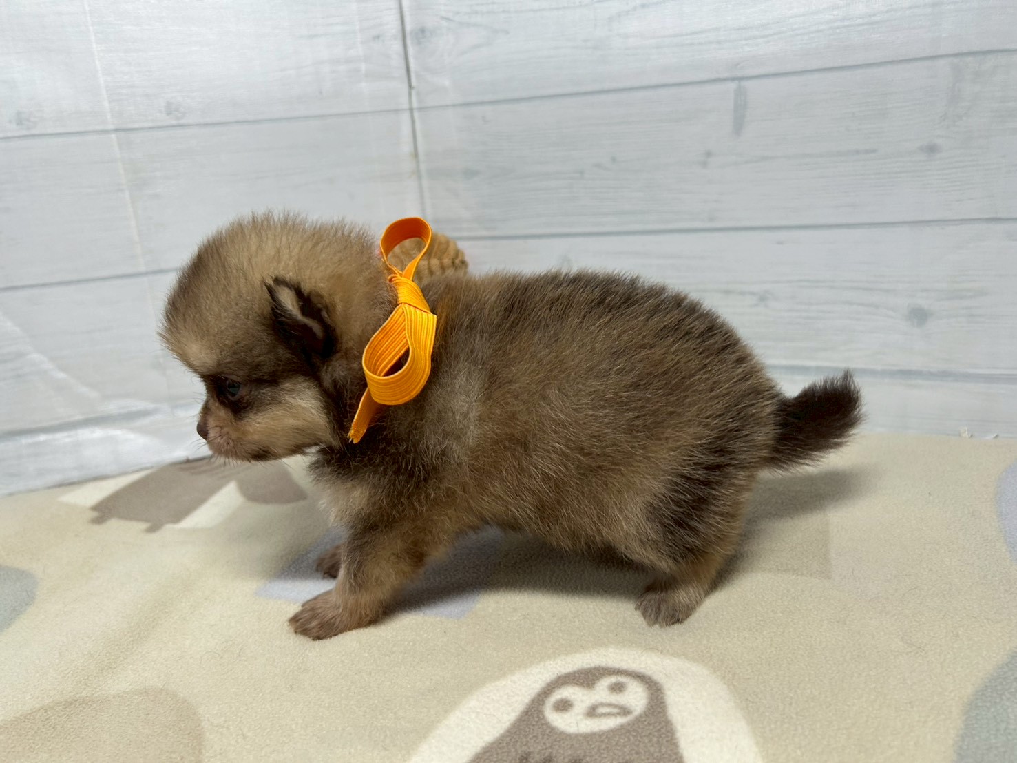 赤ちゃん写真2-2