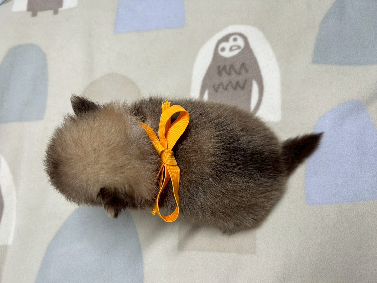 赤ちゃん写真2-3