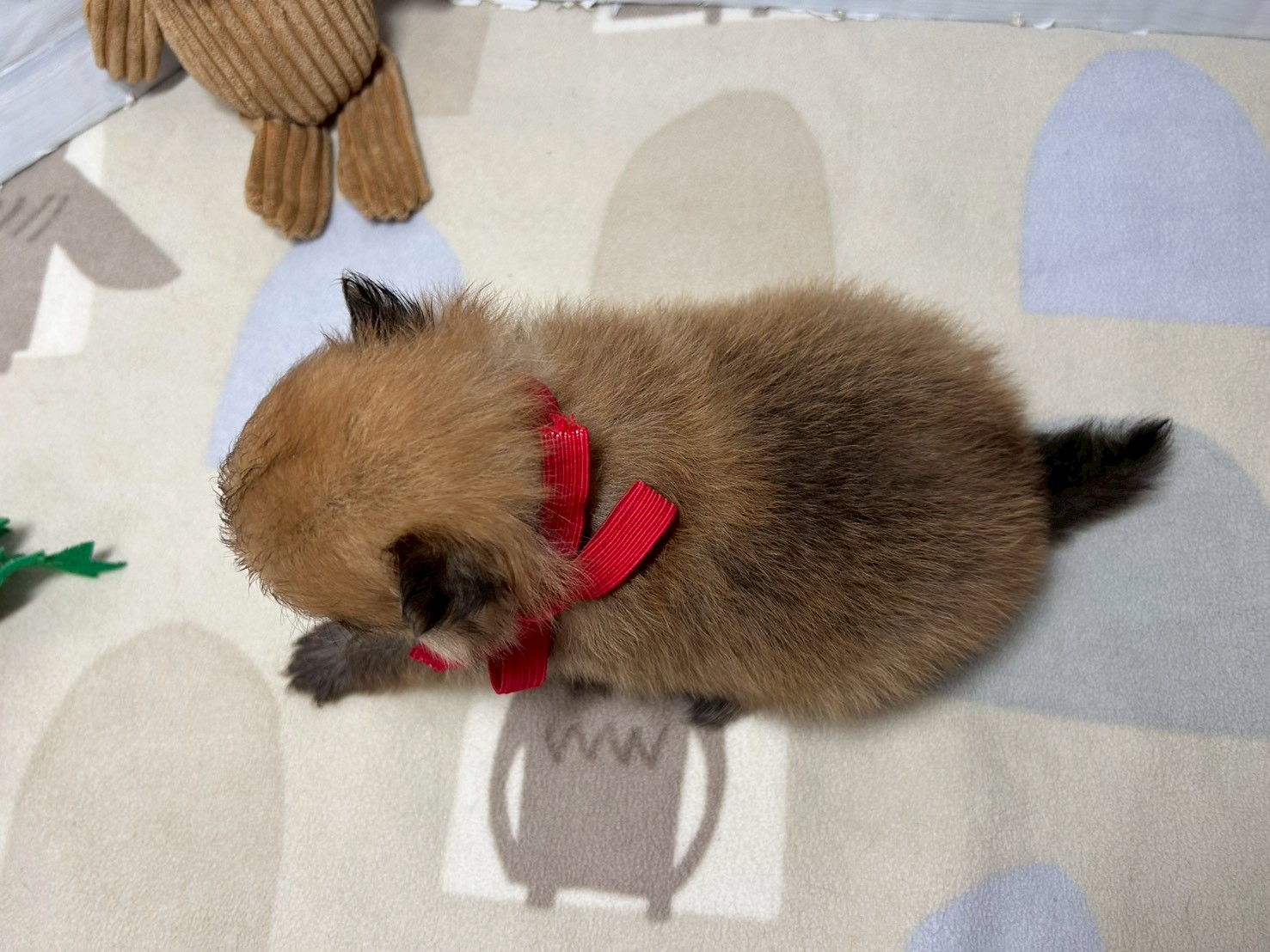 赤ちゃん写真2-3