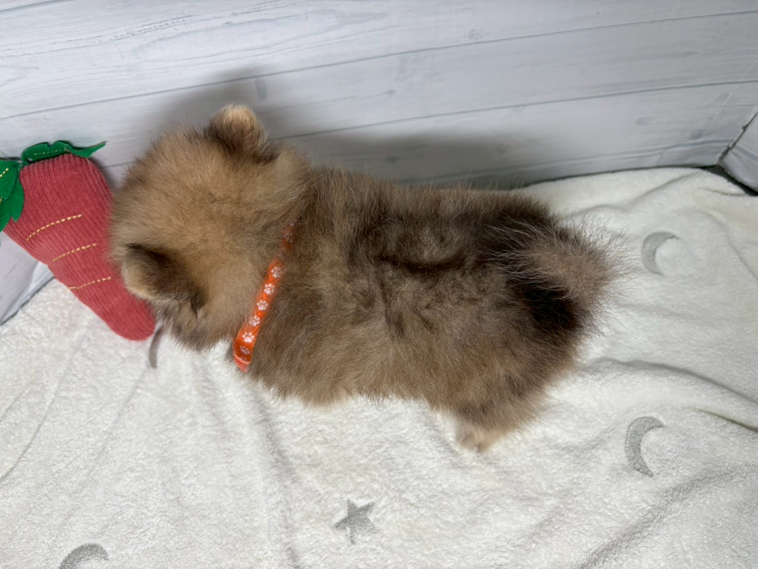 赤ちゃん写真3-3