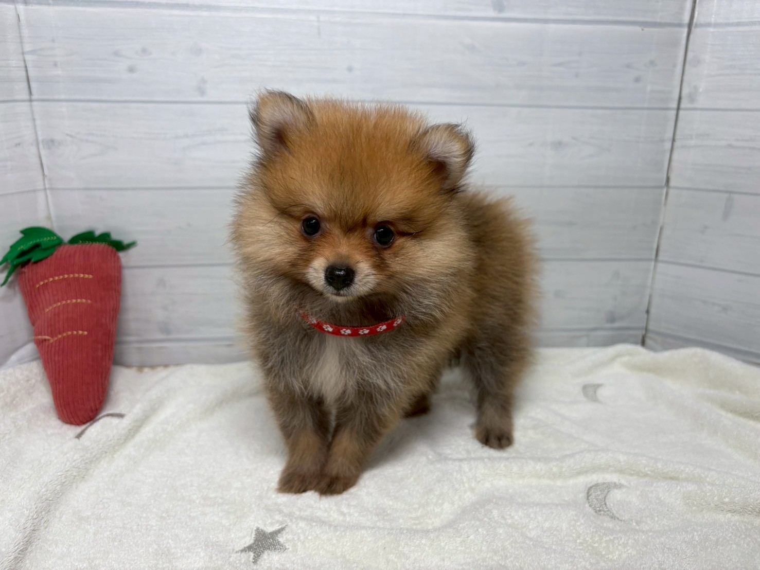 赤ちゃん写真3-1