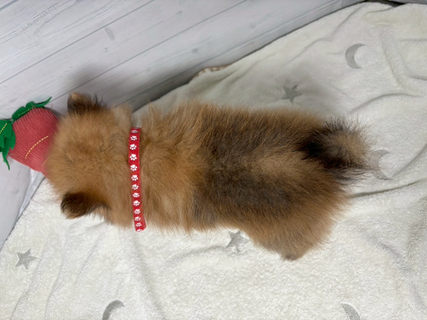 赤ちゃん写真3-3