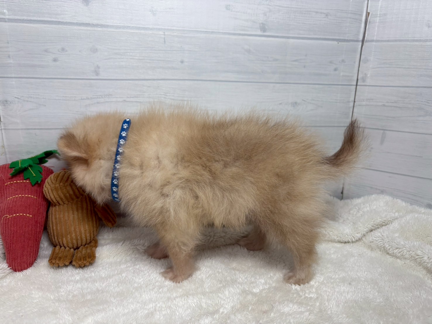 赤ちゃん写真3-2