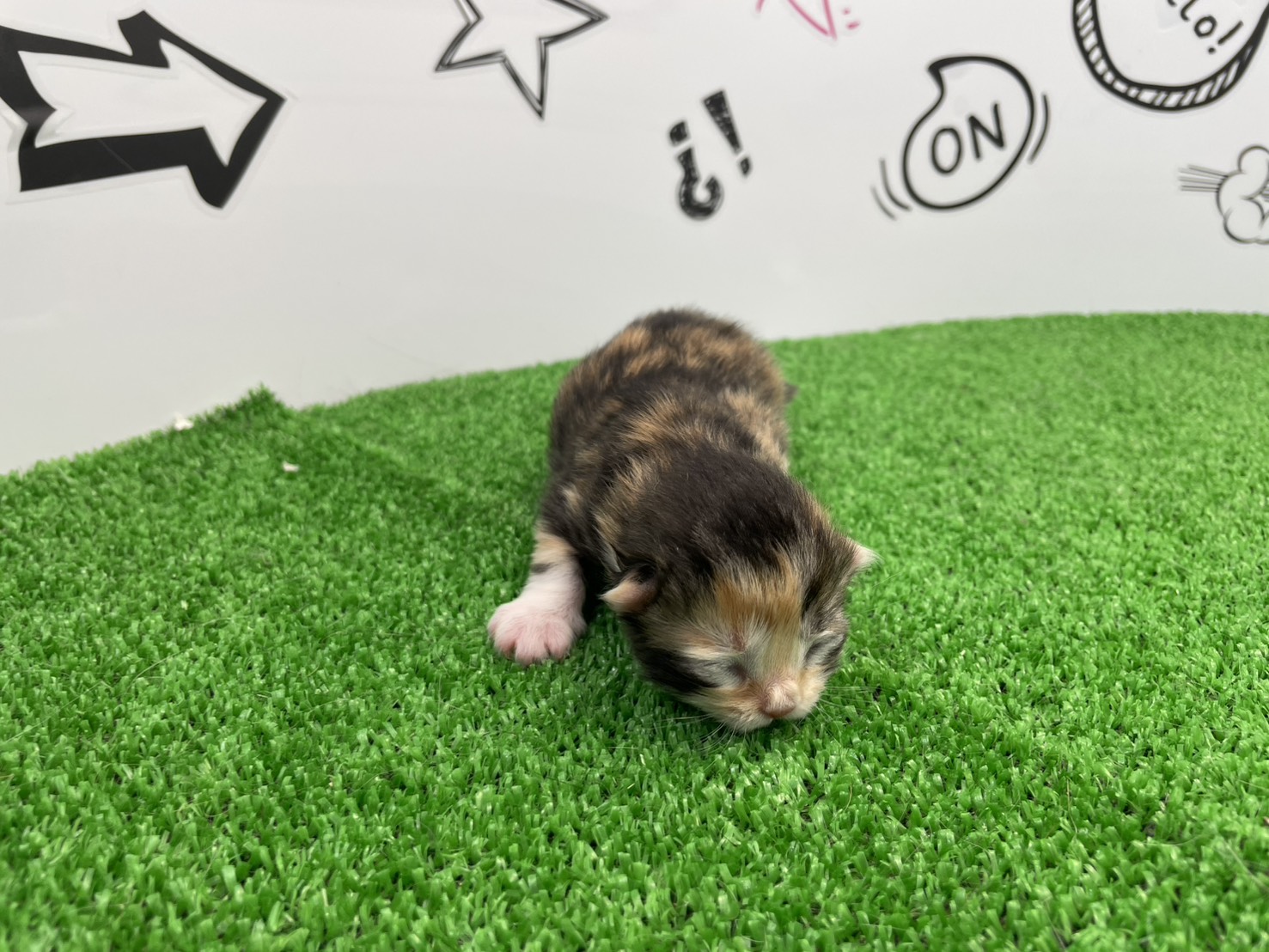 赤ちゃん写真1-1