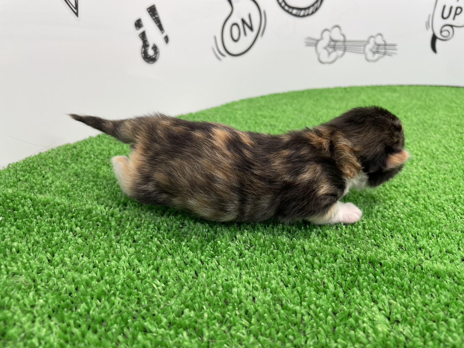 赤ちゃん写真1-2