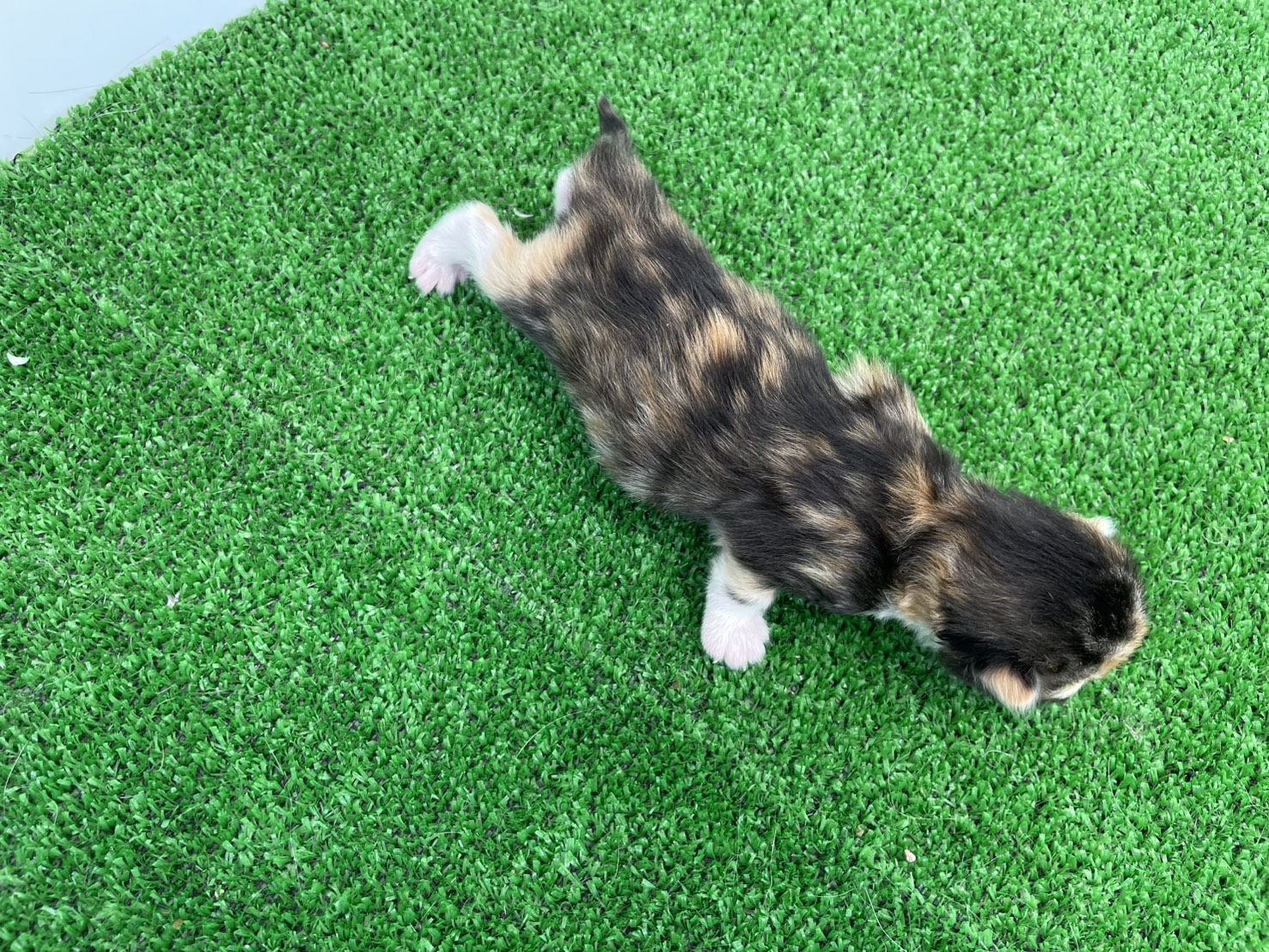 赤ちゃん写真1-3