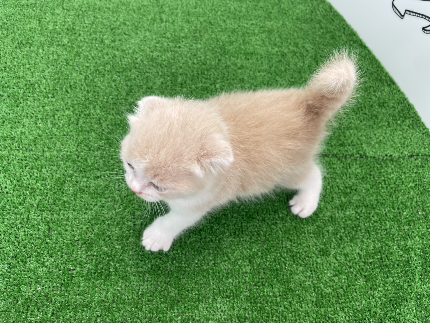 赤ちゃん写真2-3