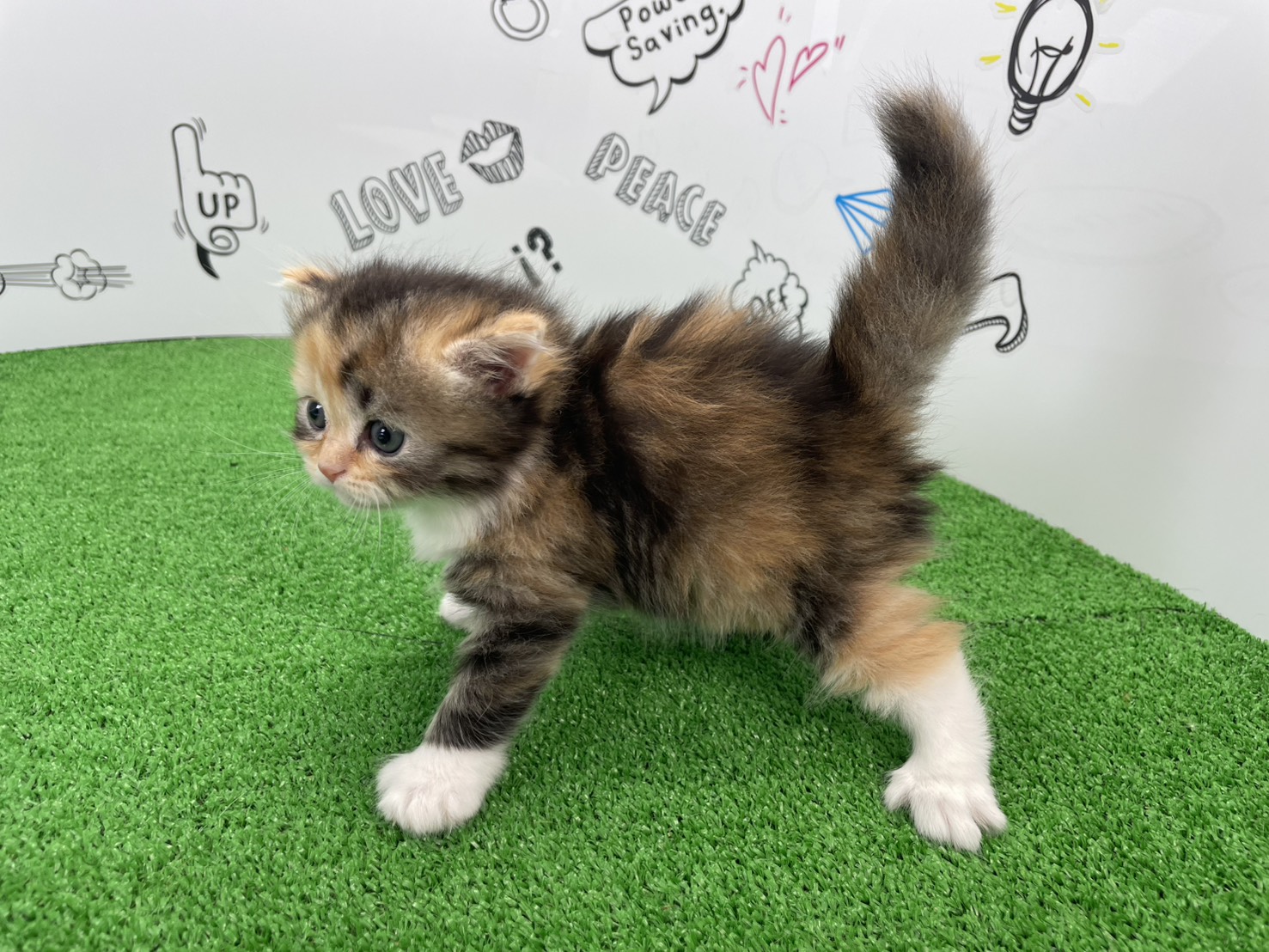 赤ちゃん写真2-2