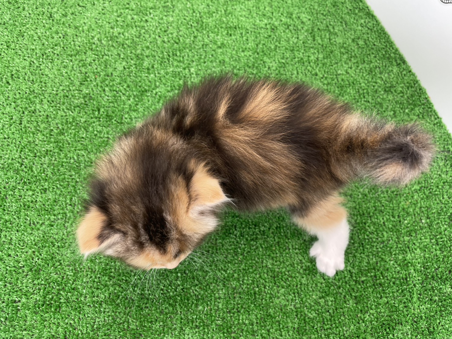 赤ちゃん写真2-3